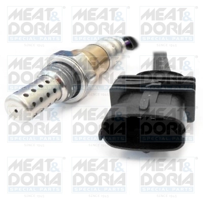 Oxygen Sensor